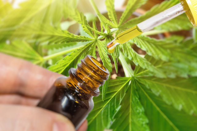 The Different Types of CBD Oil to Consider: From Full Spectrum to Broad Spectrum to Isolates